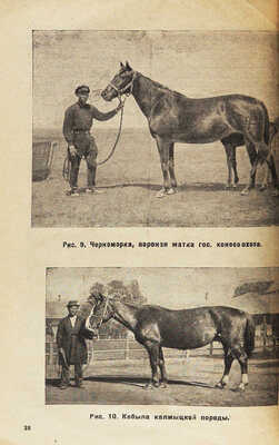 Будённый С. М. Коневодческое хозяйство СССР. С 20 рисунками и 1 схемой. М.; Л., 1932.